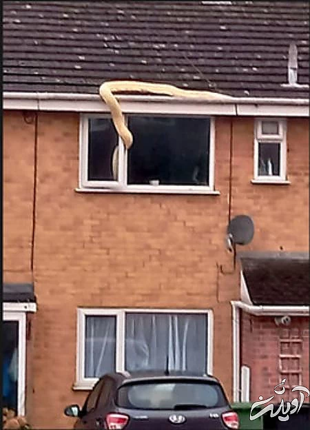 عکسهای جالب,عکسهای جذاب,